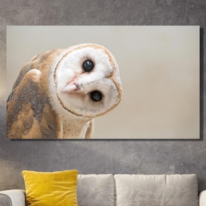 Pleasant Owl Canvas wall Art Poster, Contemporary Wall Art, Wall Decor, Wall Art, Owl Lover Gift Poster,Custom Canvas, Animal Canvas Art