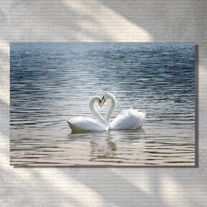 Impresión artística sobre lienzo con dos cisnes enamorados / Arte de pared con dos pares de cisnes amados / Póster artístico con impresión sobre lienzo para amantes, dos pares de animales, decoración del hogar