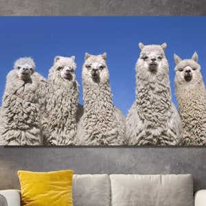 Funny Llamas Canvas Wall Art - Cute Animals Poster Wall Art - Ready To Hang - Animals Canvas, Llama Home Decor - Gift Ideas Housewarming
