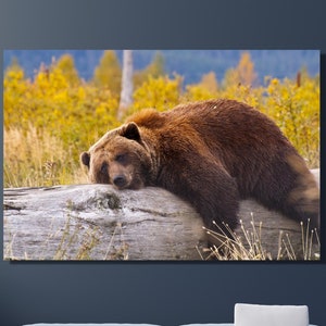 Sleeping Bear Print, Cute Bear Wall Art, Animal Wall Decor,Landscape Wall Art, Personalized Gift, Farmhouse Wall Art, Canvas Art, Home Decor