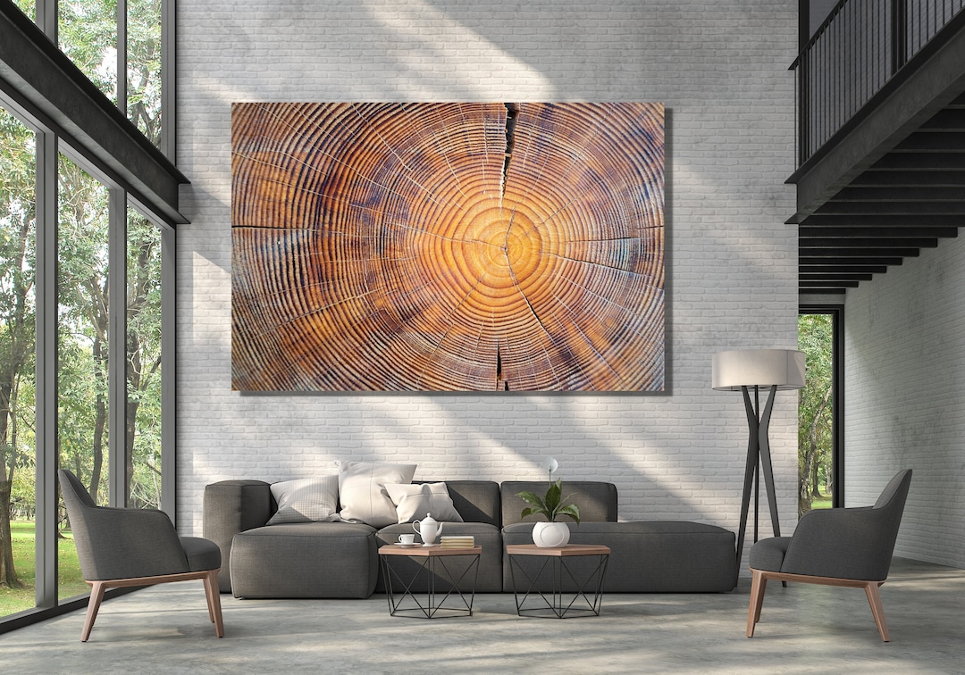 Tree Ring Canvas Wall Art Farmhouse Decor, Wood Crack Home Decor Art