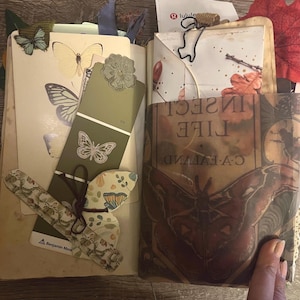 May include: Open journal with butterfly and leaf embellishments. The journal features a green paint swatch with a butterfly design, a fabric butterfly, and a page with the text "INSECT LIFE". Decorative elements include a red leaf and a green leaf.