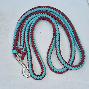 May include: A braided dog leash with a teal and burgundy color scheme. The leash has a silver clip.