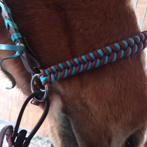 May include: Close-up of a brown horse wearing a turquoise and brown braided halter.