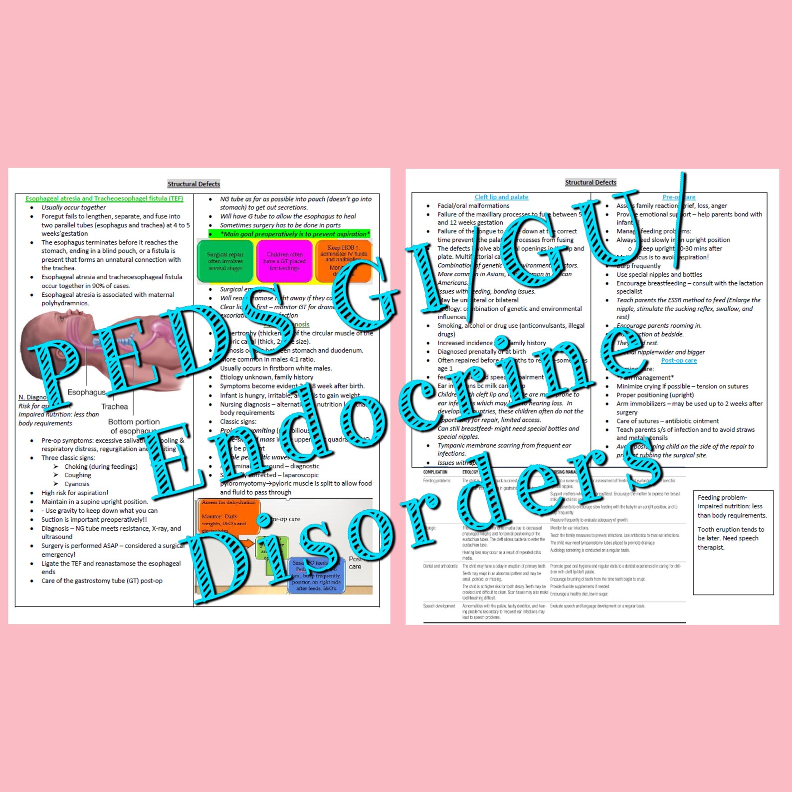 Pediatric Nursing Gi/gu/endocrine Study Guide Etsy