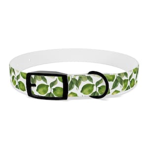 Könnte beinhalten: Weißes Hundehalsband mit einem Limetten- und Blättermuster. Das Halsband hat eine schwarze Schnalle und eine schwarze Metallschlaufe zur Befestigung der Leine. Das Muster zeigt grüne Limetten und Blätter auf weißem Hintergrund.