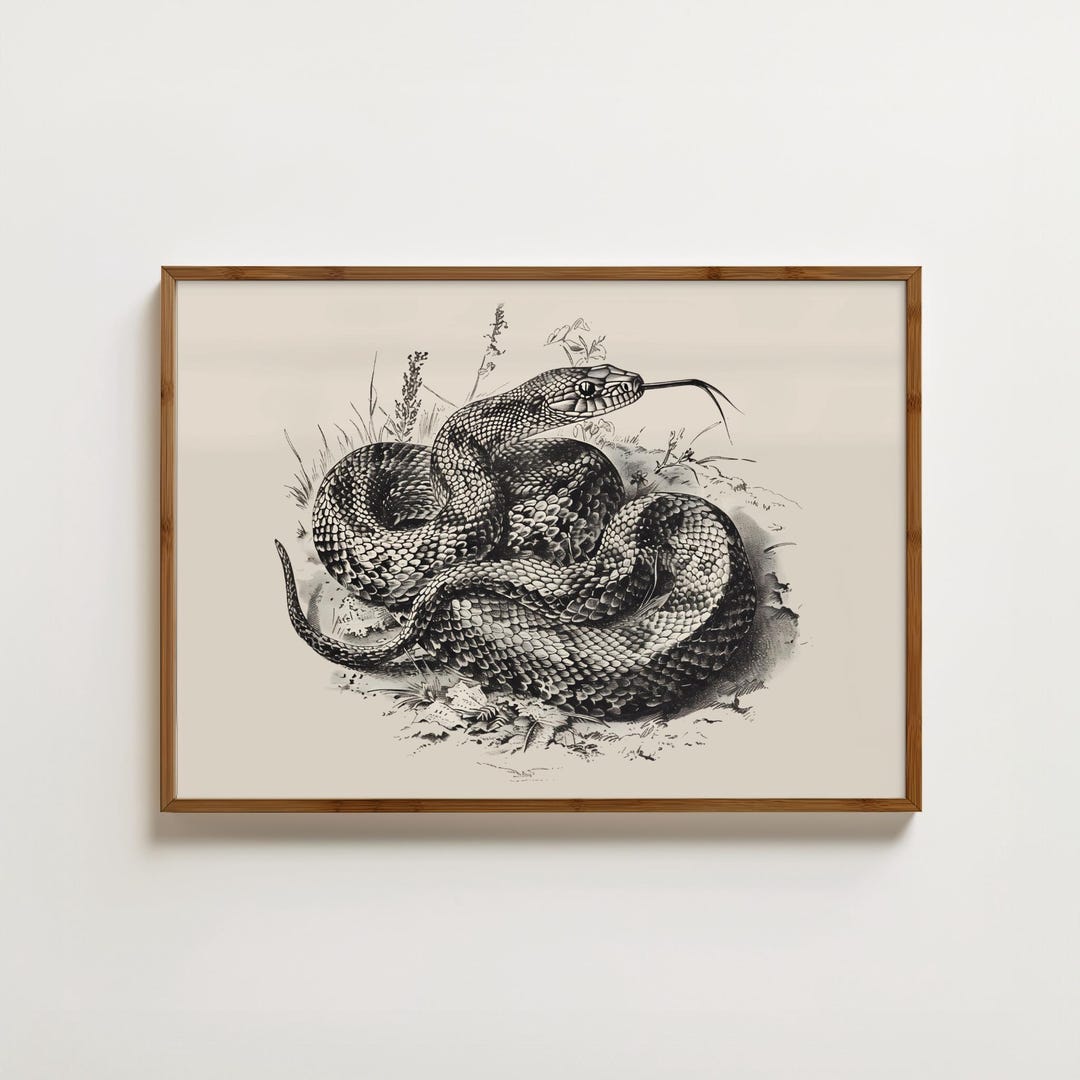 Vintage Snake Print Reptile Poster Python Illustration Dark Academia ...