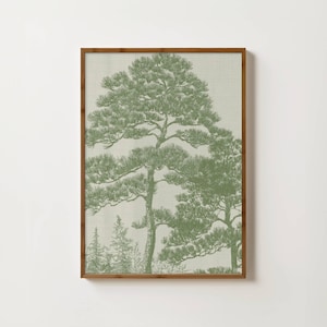 May include: A framed art print showing a detailed illustration of pine trees in green hues. The artwork has a vintage feel, with the trees rendered in a detailed, sketched style against a neutral backdrop. The frame is a warm brown colour.