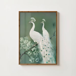 White Peacock Print Vintage Peacock Wall Art Japanese Bird Print Peacock Poster Exotic Bird Painting Peacock Home Decor Peacock Illustration