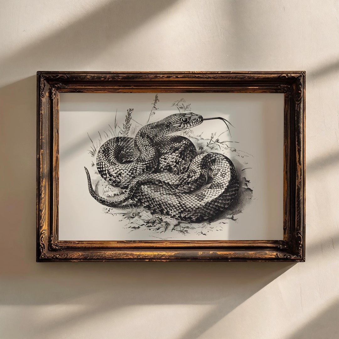 Vintage Snake Print Reptile Poster Python Illustration Dark Academia ...