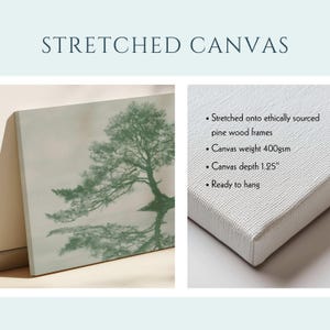 Pu&ograve; includere: Una stampa su tela tesa con un'illustrazione di un albero verde. Il testo recita STRETCHED CANVAS, Stretched onto ethically sourced pine wood frames, Canvas weight 400gsm, Canvas depth 3,175 cm, Ready to hang. La tela ha una trama bianca.