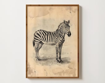 Vintage Zebra Print Antique Zebra Wall Art Safari Home Decor Animal Poster Tropical Decor Bedroom Prints Animal Gallery Wall Jungle Wall Art