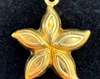 May include: A gold-colored pendant in the shape of a five-pointed star. The pendant has a loop at the top for a chain. The star's design features elongated, oval-shaped segments within each point, creating a textured appearance. The pendant is set against a dark background.