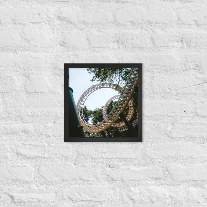 Python Framed Print - Efteling | Multi-Size