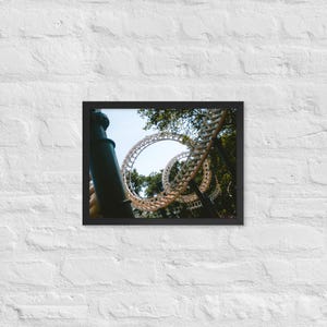 Python Framed Print - Efteling | Multi-Size