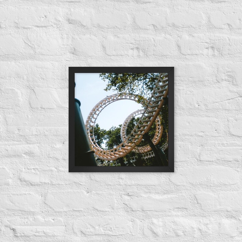 Python Framed Print - Efteling | Multi-Size