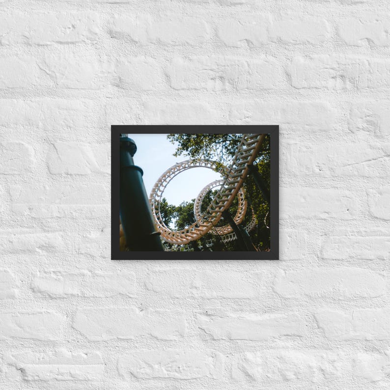 Python Framed Print - Efteling | Multi-Size