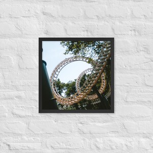 Python Framed Print - Efteling | Multi-Size
