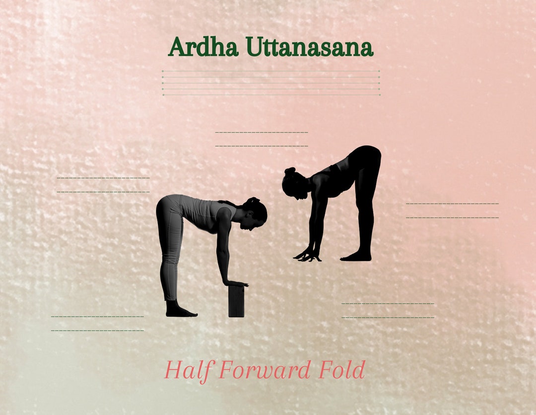 Yoga Pose Flash Cards Sanskrit, English and Visual 2 Dozen Common Poses for Beginners Etsy