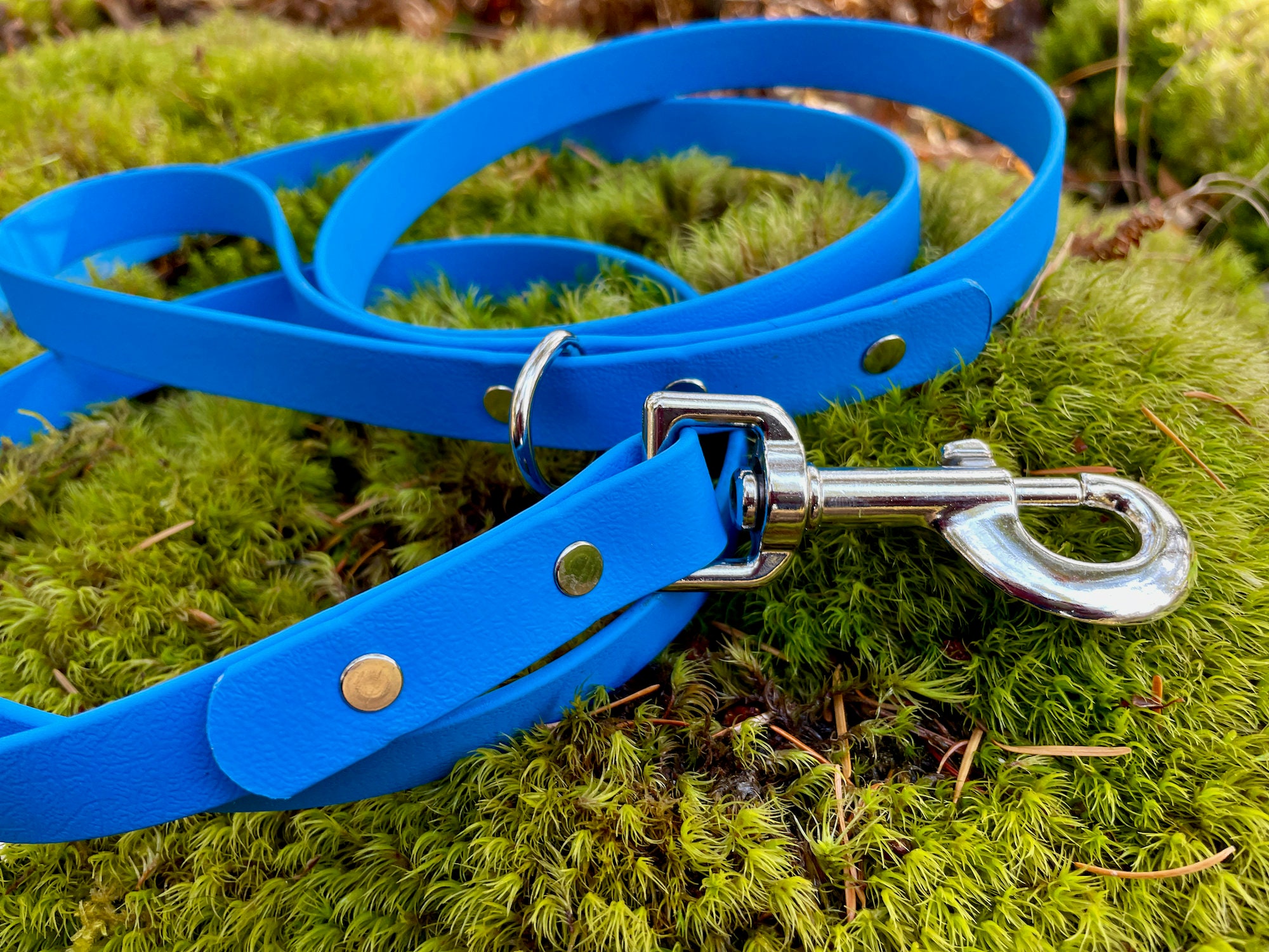 Waterproof Vegan Leather Biothane Dog Leash, 3/4 Inch, Pacific Blue Etsy