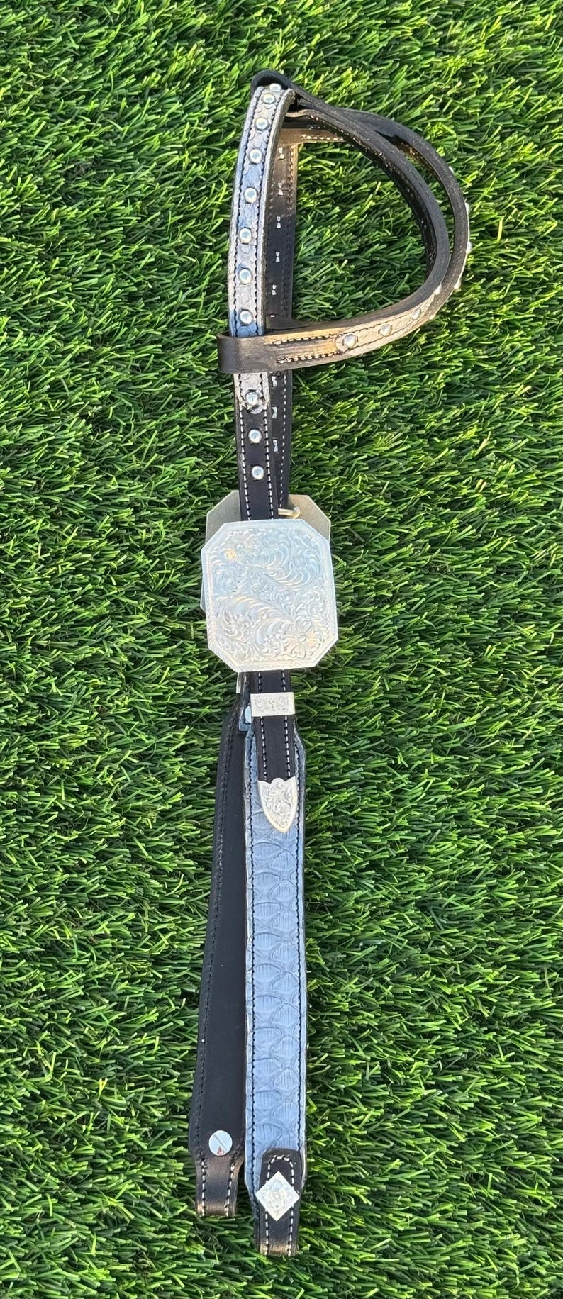 Custom Gray Python Double Ear Silver Headstall Bild 1