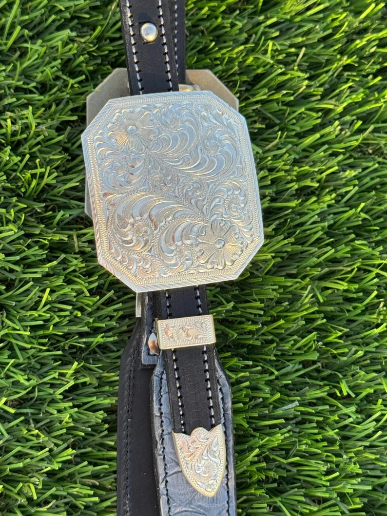 Custom Gray Python Double Ear Silver Headstall Bild 5