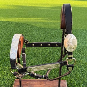 Dark Havana Leather Show Halter with Full Silver