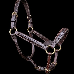 May include: A dark brown leather horse halter featuring braided detailing on the noseband and cheek pieces. The halter is constructed with brass hardware, including buckles, rings, and rivets, and includes adjustable straps for a secure fit.