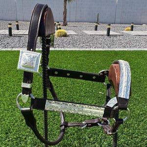Brown Leather Show Halter with Full Silver