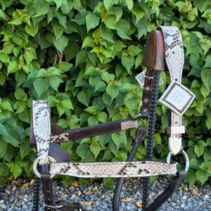 May include: A horse bridle with a snakeskin pattern on the browband and cheek pieces. The bridle has brown leather straps and silver-colored metal accents. The background is a green leafy bush.