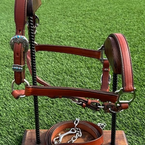 Chestnut Horse Size Show Halter & Lead
