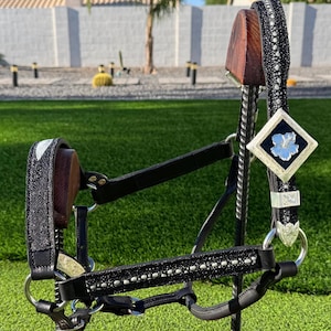 Black Stingray Show Halter, Horse Size
