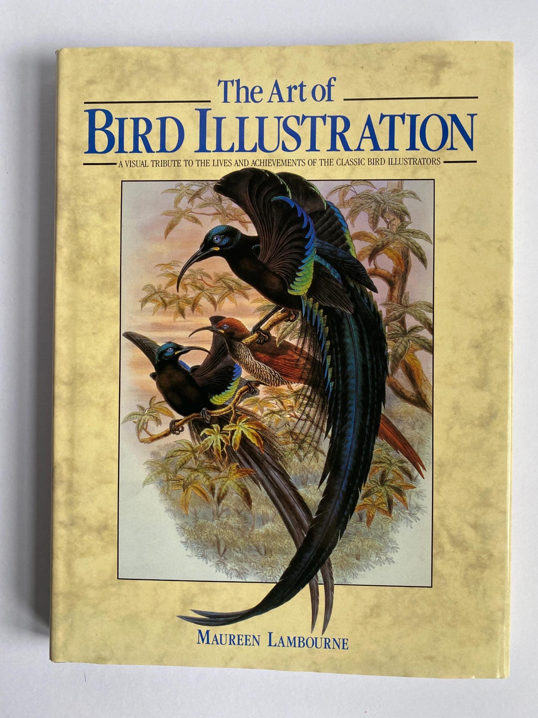 The Art of Bird Illustration Book by Maureen Lambourne - Etsy