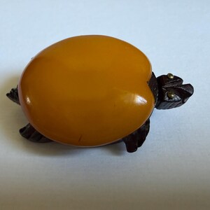 May include: A vintage turtle brooch. The turtle's shell is a glossy, amber-colored oval, and the head and legs are carved from dark wood. Small brass accents are visible on the head.