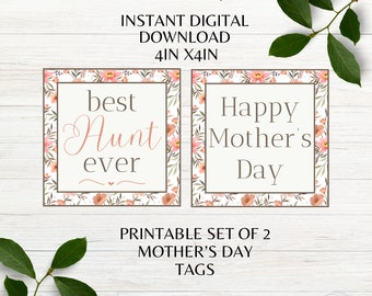 Happy Mother's Day Tags Printable Best Aunt Ever Tag Set of 2 Tags for Aunt on Mother's Day Tag Instant Download PDF PNG