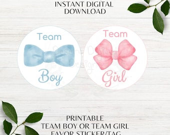 Team Boy Team Girl Favor Tags Printable Pink or Blue Baby Gender Reveal Stickers Instant Digital Download PDF PNG