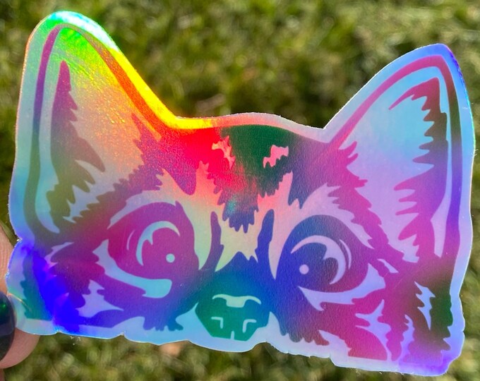 Holographic Cat Sticker | Surprised Cat Sticker | Waterproof Vinyl ...