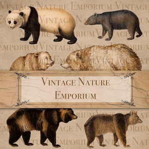 Printable Clipart Junk Journal Vintage Ephemera Scrapbook Bears Teddy Collage Sheet Digital Journaling Supplies Winter Craft PDF JPEG