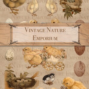 Pâques imprimable éphémère numérique vintage poussins oeufs mignon Junk Journal Scrapbook lapins embellissement autocollants Télécharger artisanat PDF JPEG