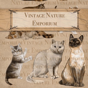 Printable Cats Clipart Junk Journal Vintage Ephemera Scrapbook Kittens Collage Sheet Digital Journaling Supplies Winter Craft PDF JPEG