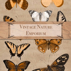 Butterfly Junk Journal Vintage Ephemera Scrapbook Animales Mariposas Collage Hoja Digital Journaling Suministros Otoño Craft PDF JPEG