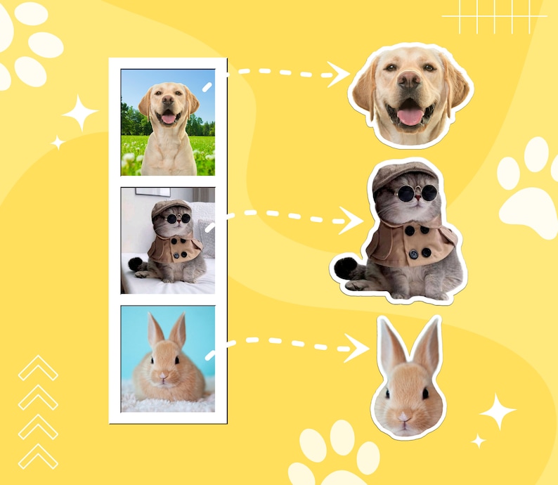 May include: A collage of four images featuring a yellow Labrador Retriever, a cat wearing sunglasses and a brown coat, a brown rabbit, and a white rabbit. The images are arranged in a grid pattern with a dashed line connecting each image.
