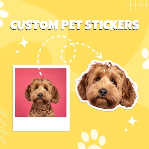 Custom Pet Sticker, Personalised Pet Sticker, Custom Dog Sticker, Custom Cat Sticker, Pet Stickers, Pet Photo Sticker, Pet Sticker Custom