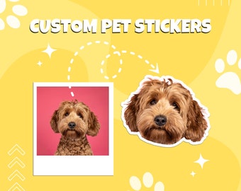 May include: Custom pet stickers with a photo of a brown dog with fluffy hair. The dog is looking directly at the camera. The sticker is in a white frame with a pink background. The text "CUSTOM PET STICKERS" is in white letters on a yellow background.