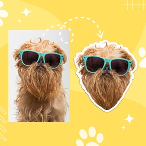 May include: A brown and white dog wearing blue sunglasses. The dog is looking directly at the camera. The dog is in a sticker format.