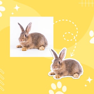 May include: Two brown rabbits, one sitting and one standing, on a yellow background with white paw prints and stars.