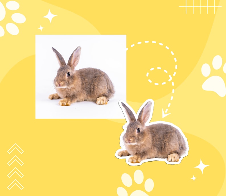May include: Two brown rabbits, one sitting and one standing, on a yellow background with white paw prints and stars.