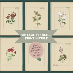 All Vintage Floral Print Bundle, DIGITAL Download Art Prints, Printable wall art, Dorm Room Wall Art Cute Apartment Decor