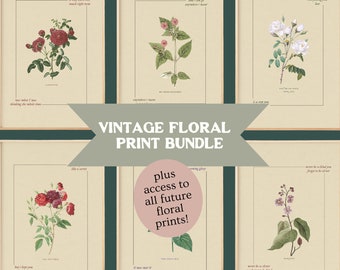 All Vintage Floral Print Bundle, DIGITAL Download Art Prints, Printable wall art, Dorm Room Wall Art Cute Apartment Decor