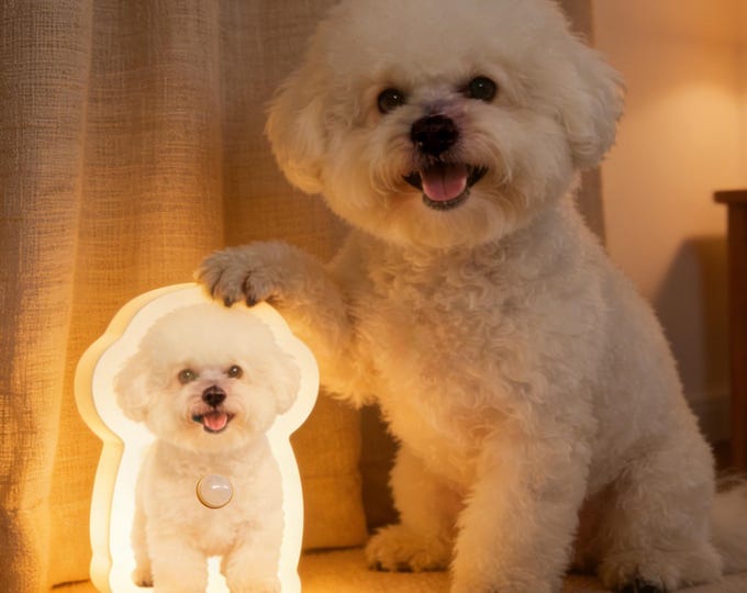 Personalized Pet Photo Motion Sensor Night Light, Custom Dog Cat Wall Lamp (Warm Glow)